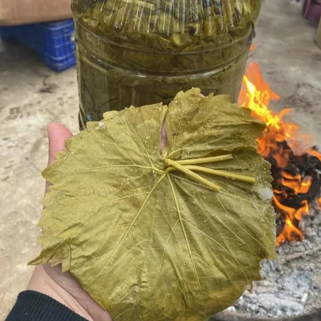 5lik Salamura Asma Yaprak Bidon
