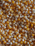 Patlatmalık mısır 500 gr