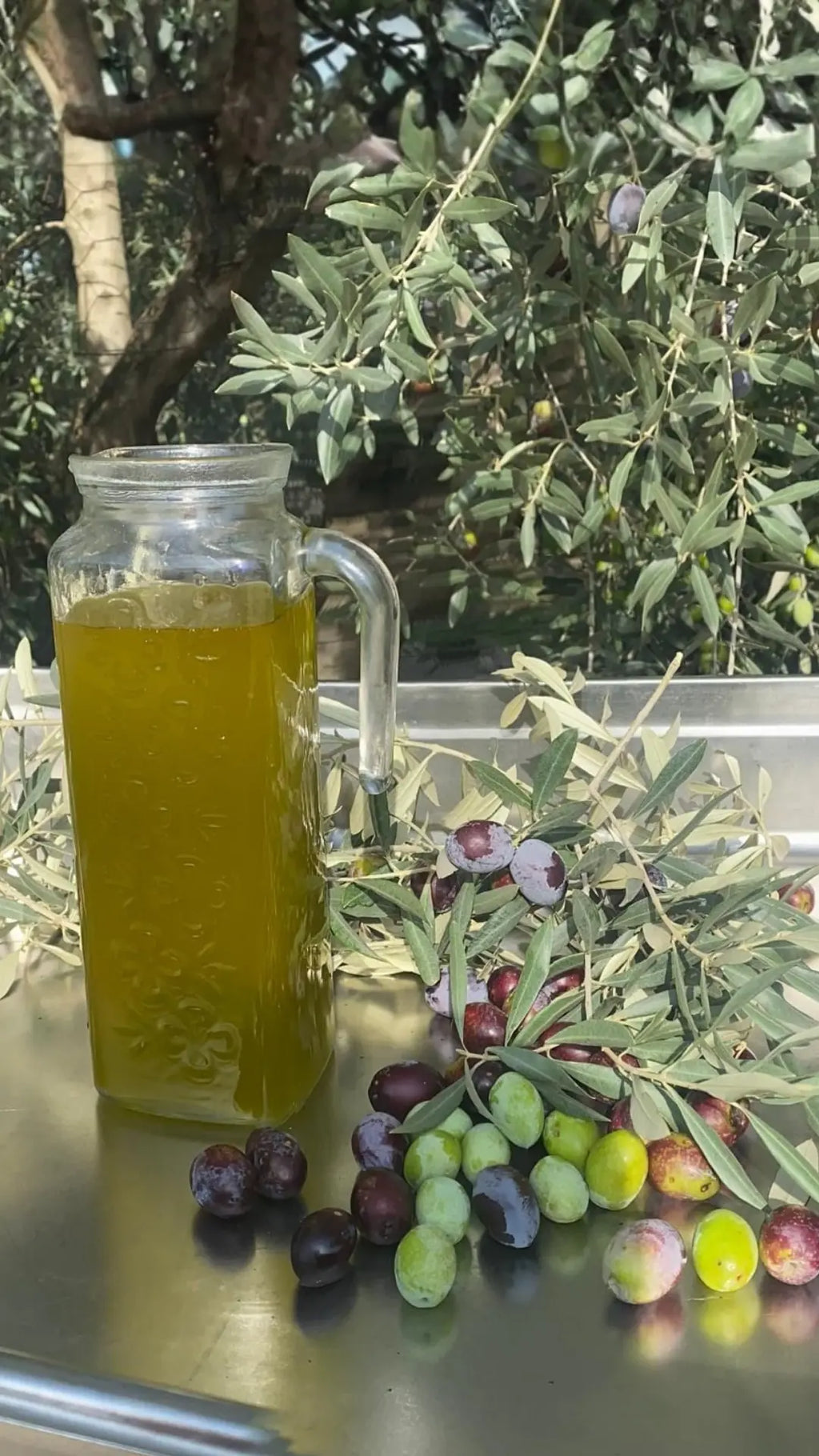 Erken Hasat Zeytinyağı 1 lt