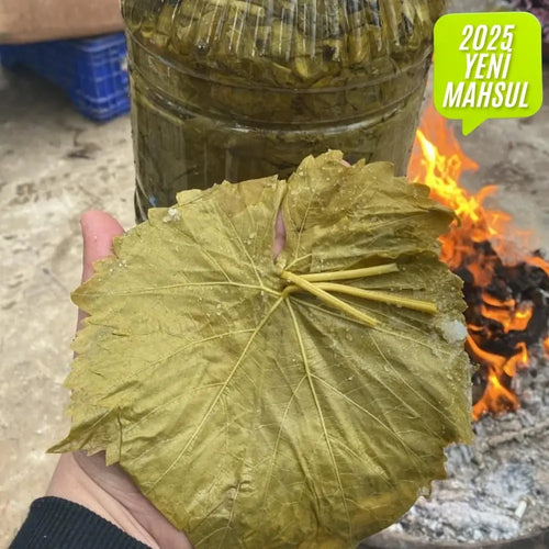2 Adet 3lük Salamura Yaprak Bidon