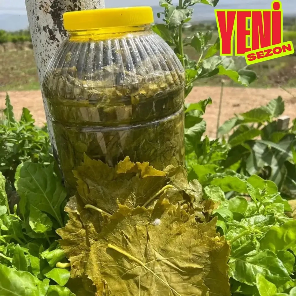 3lük Salamura Yaprak Bidon