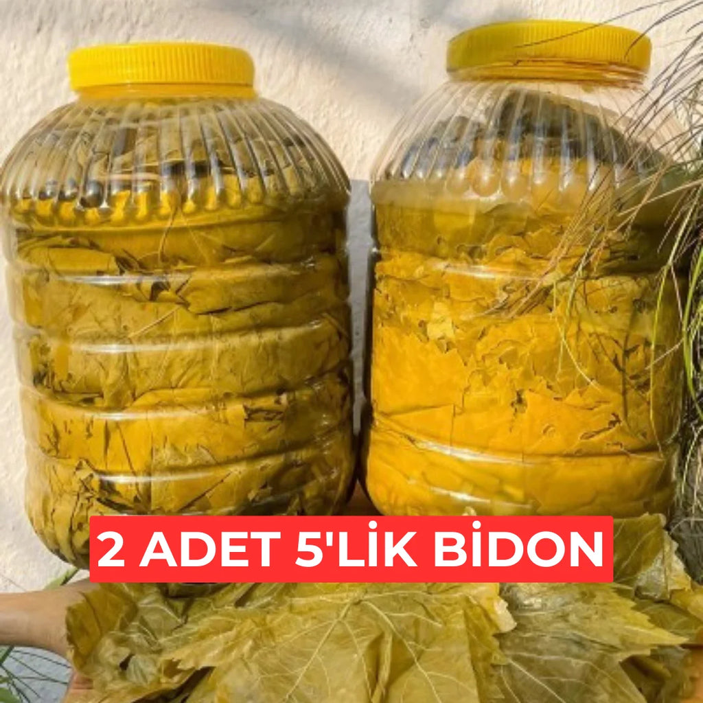 2x5'lik Salamura Asma Yaprak Bidon
