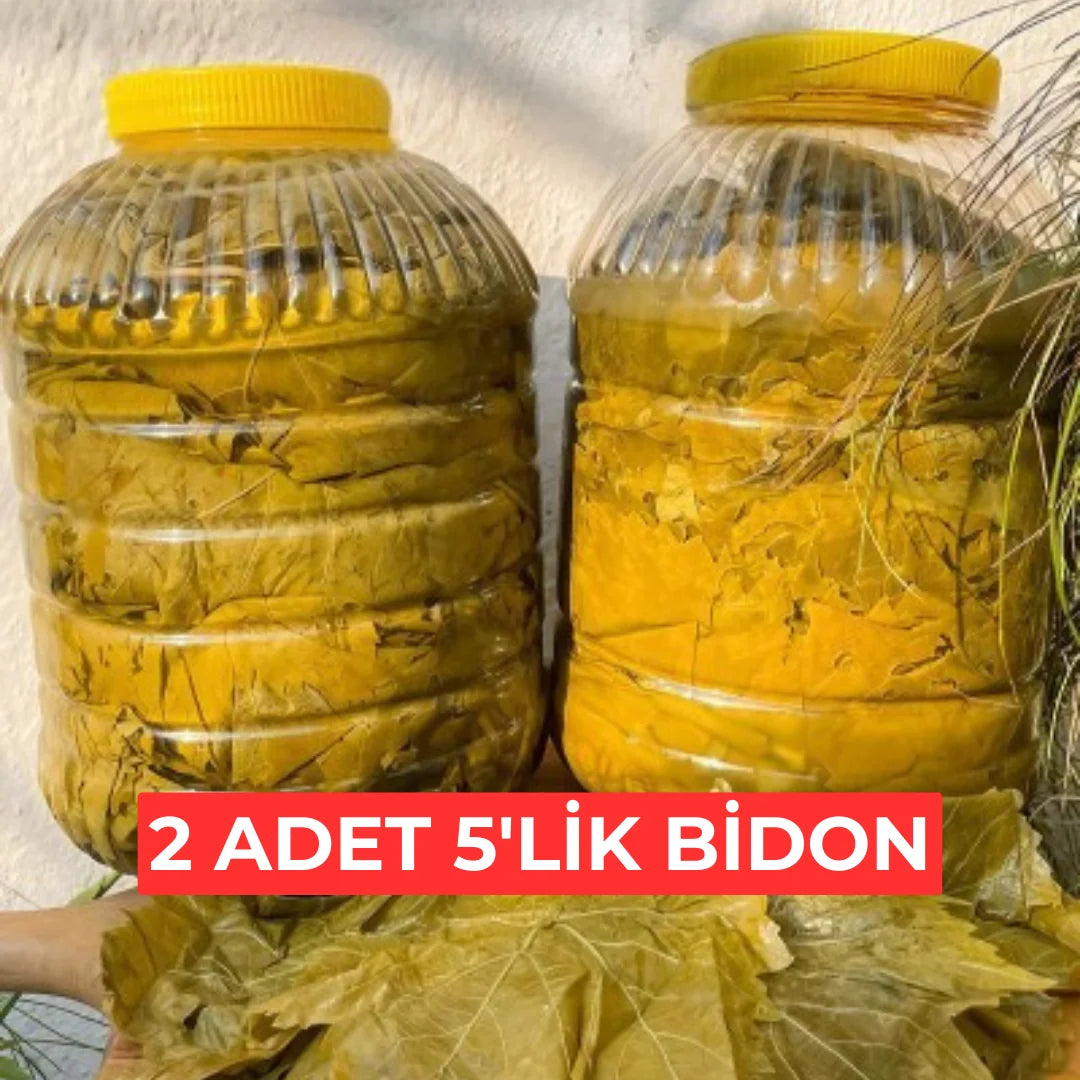 2x5'lik Salamura Asma Yaprak Bidon