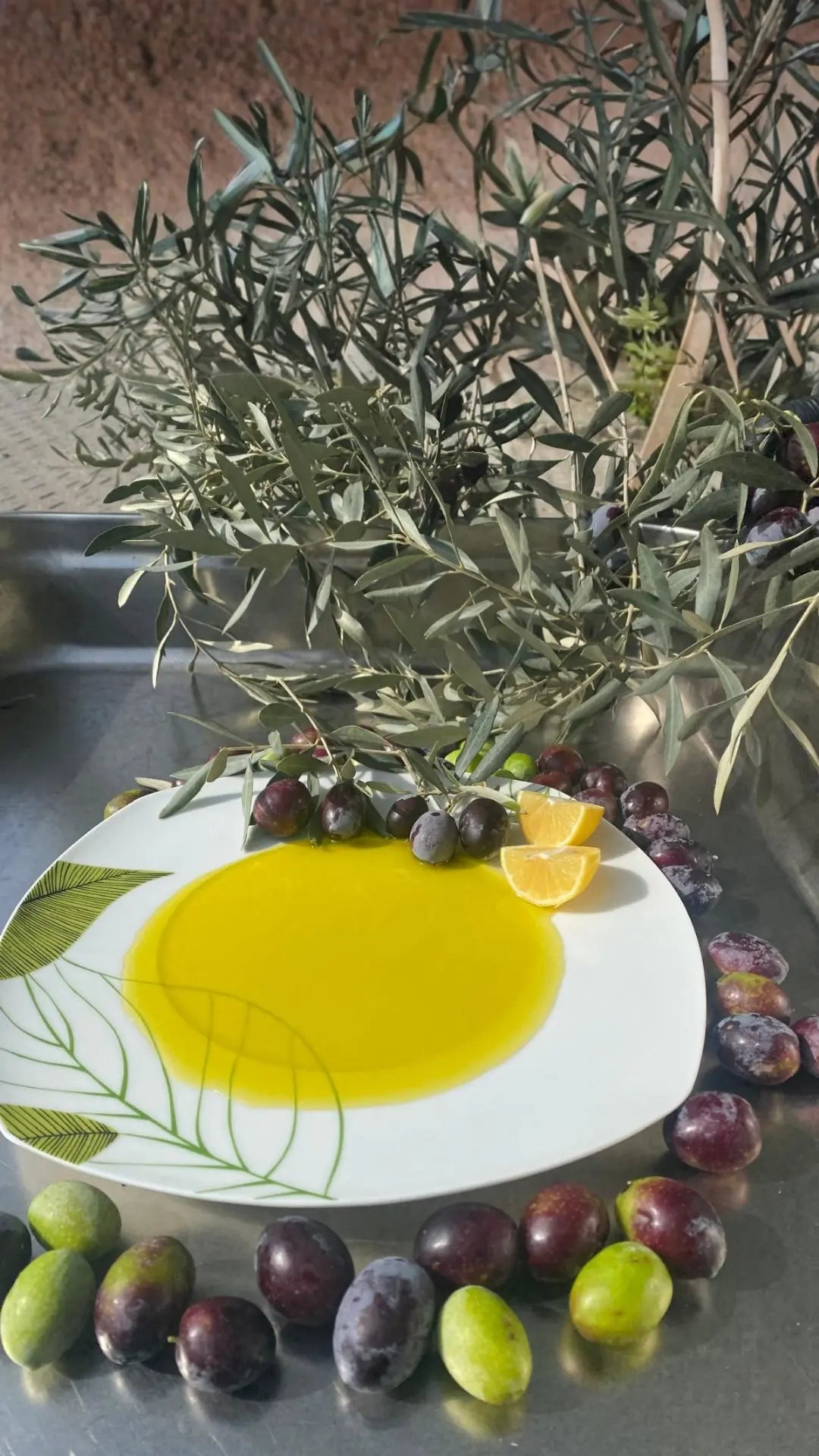 Erken Hasat Zeytinyağ 5 lt