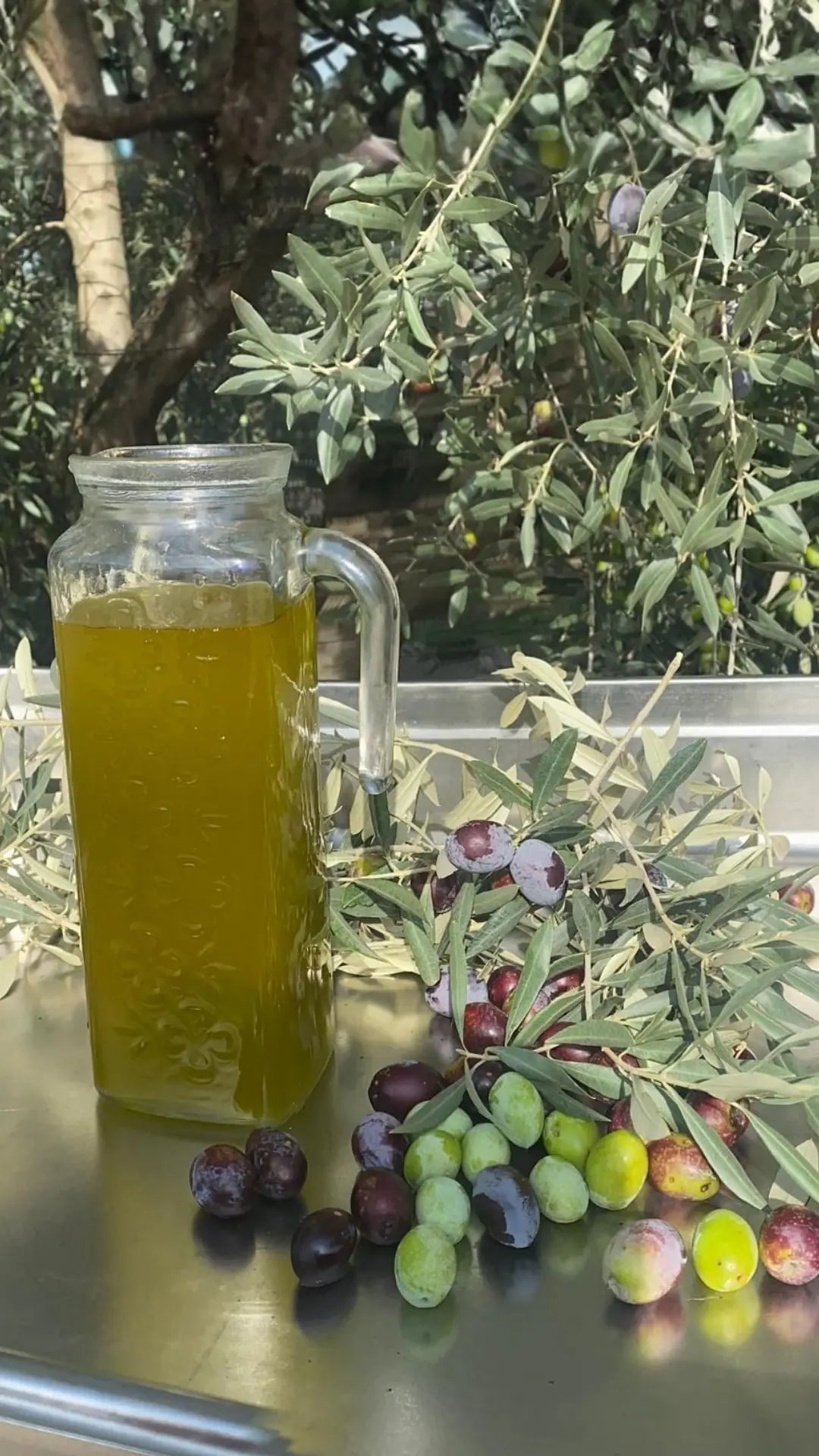 Olgun Hasat Zeytinyağ 1 lt