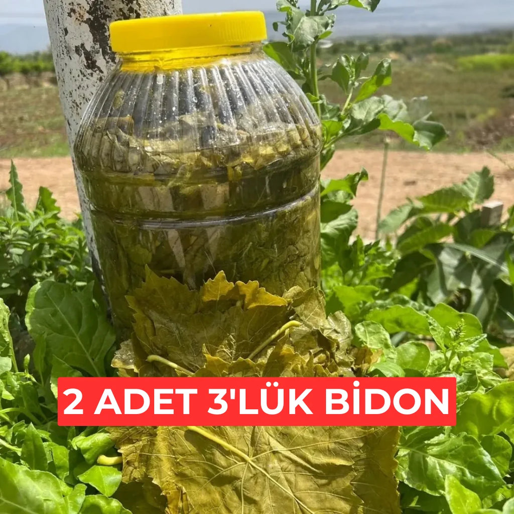 2 Adet 3lük Salamura Yaprak Bidon